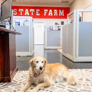 Photo of Ashley Berry - State Farm Insurance Agent