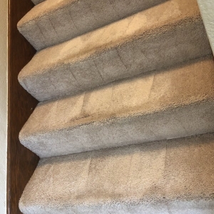 Photo of Best Brothers Carpet Cleaning