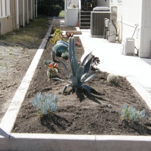 Photo of Curbscape