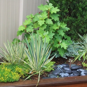 Photo of Blackstone Urban Landscapes
