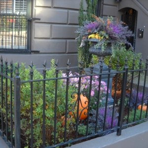 Photo of Blackstone Urban Landscapes