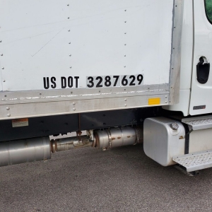 Photo of The Best Movers Of Pear Land