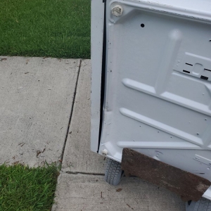Photo of The Best Movers Of Pear Land