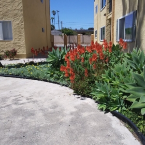 Photo of Clairemont Rental Properties