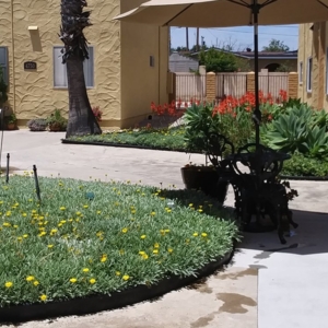 Photo of Clairemont Rental Properties