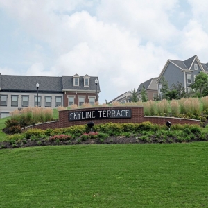 Photo of Skyline Terrace