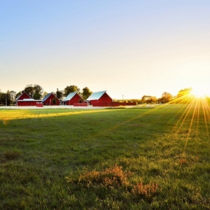 Photo of Prairieland Insurance and Investment Services