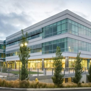 Pleasanton Chamberlin Associates