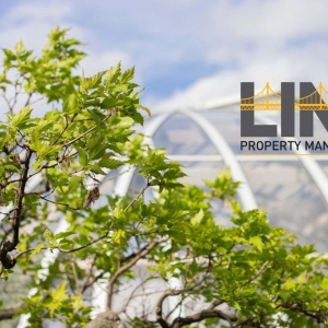 Photo of Linx Property Management
