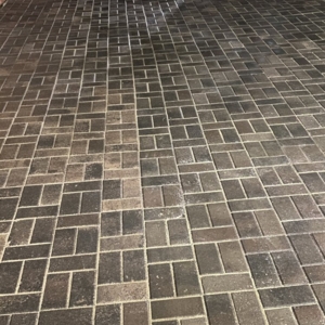 Photo of Arzola’s Landscaping & Maintenance