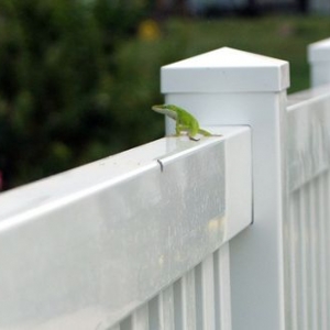 Photo of Timberline Exteriors