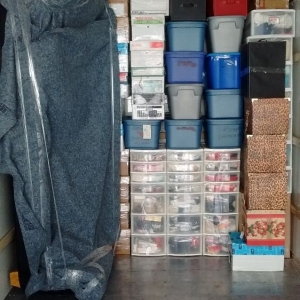 Photo of Movers Source