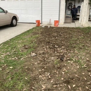 Photo of 211 Plumbing & Drains