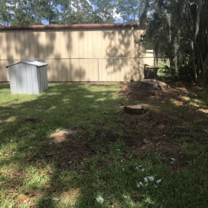 Photo of Fast Cut Tree Service