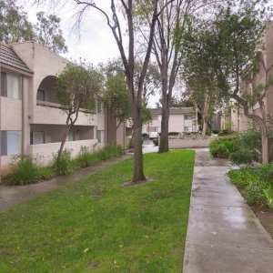 Photo of San Jose Greens