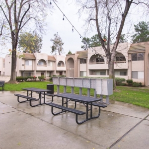 Photo of San Jose Greens