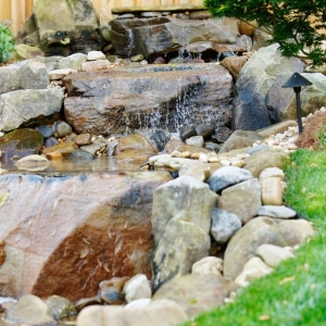 Photo of Plants Creative Landscapes