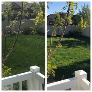 Photo of Cool Clippings Lawn Care