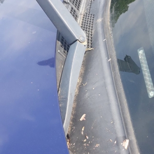 Photo of Wow Car Wash