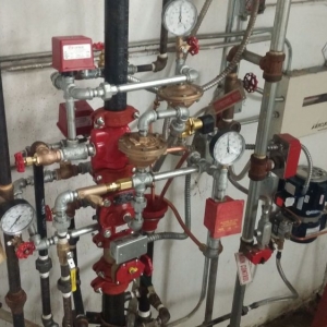 Photo of Dalmatian Fire & Safety