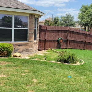 Photo of SpringScapes