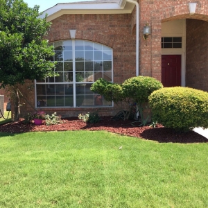 Photo of SpringScapes