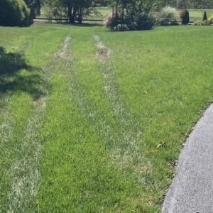 Photo of Wetter Landscaping