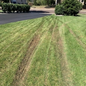 Photo of Wetter Landscaping