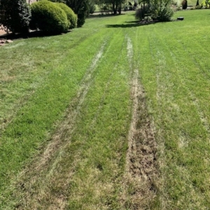 Photo of Wetter Landscaping
