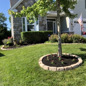 Photo of Dogwood Landscaping And Construction Services