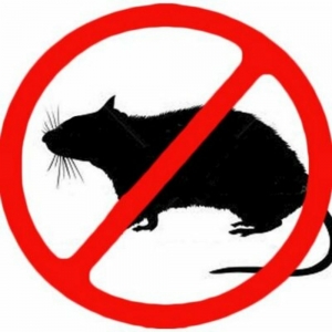 Photo of Done Right Rodent Proofing