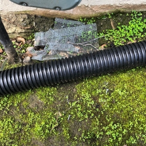 Photo of Done Right Rodent Proofing