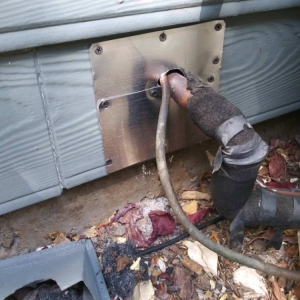 Photo of Done Right Rodent Proofing
