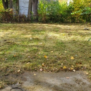 Detroit I Care Lawn Service