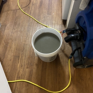 Federal Way Aloha Carpet Cleaning