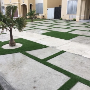 Photo of D'Luxe Turf