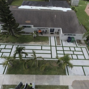 Photo of D'Luxe Turf