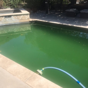 Photo of Coast 2 Coast Pools