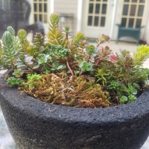 Photo of Town & Country Grounds Care