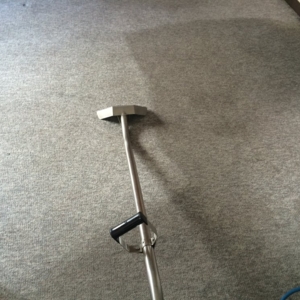 Photo of The Rug Spa Carpet Cleaning