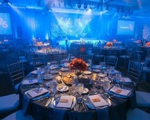 Photo of Tolo Events
