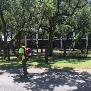 Photo of The Goat Lawn & Tree Services