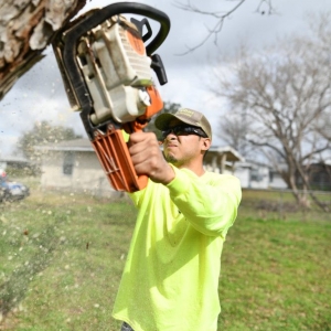 Photo of The Goat Lawn & Tree Services