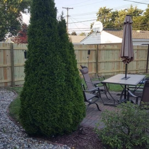 Photo of Taylor Fence Service