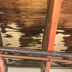 Photo of APS Roofing