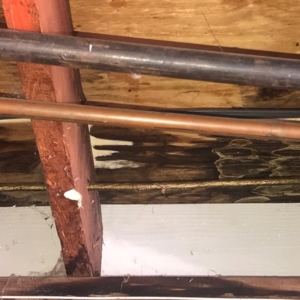 Photo of APS Roofing