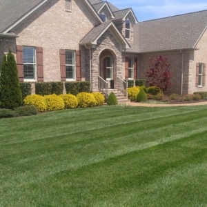 Photo of TriGreen Landscapes