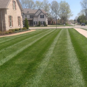Photo of TriGreen Landscapes
