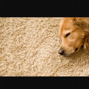 Photo of REA Floors