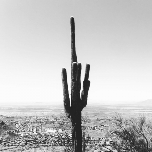 Photo of Bio Cleanup AZ